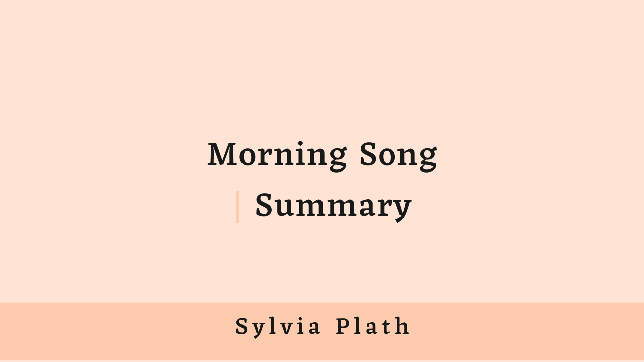 Morning Song by Sylvia Plath: Summary