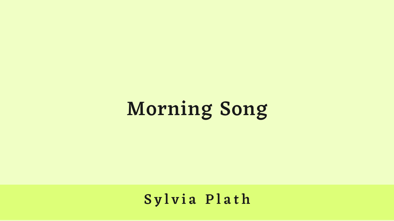 Morning Song by Sylvia Plath: Critical Analysis