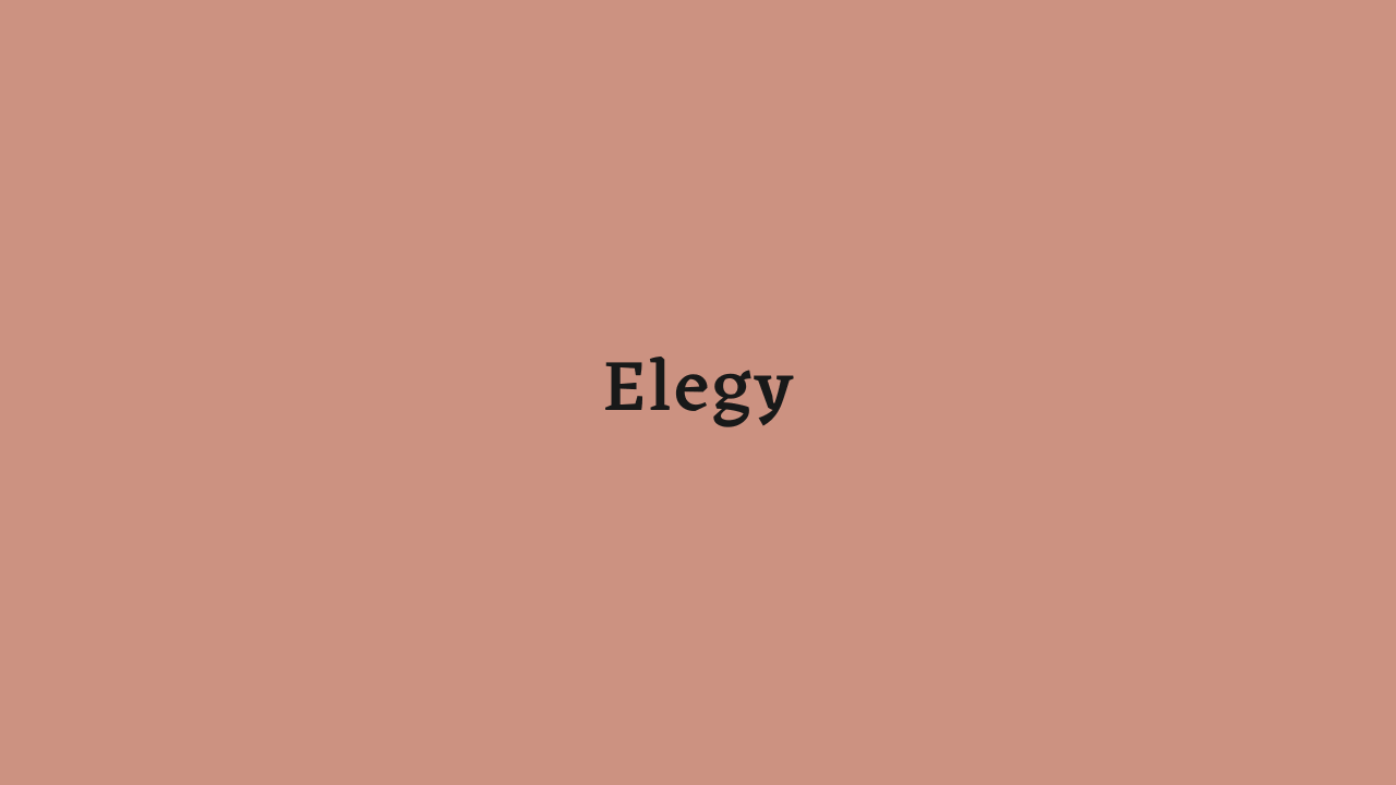 Elegy
